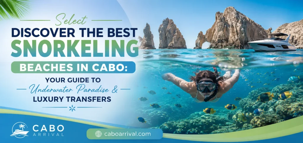 Discover the Best Snorkeling Beaches in Cabo Your Guide to Underwater Paradise & Luxury Transfers_resultado